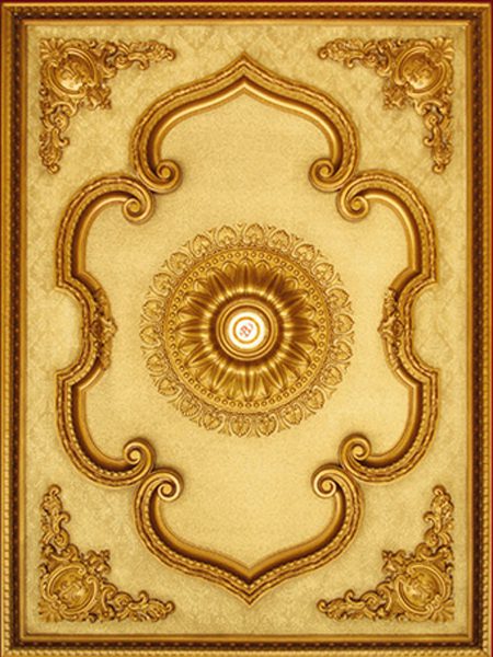 saray-tavan-model5