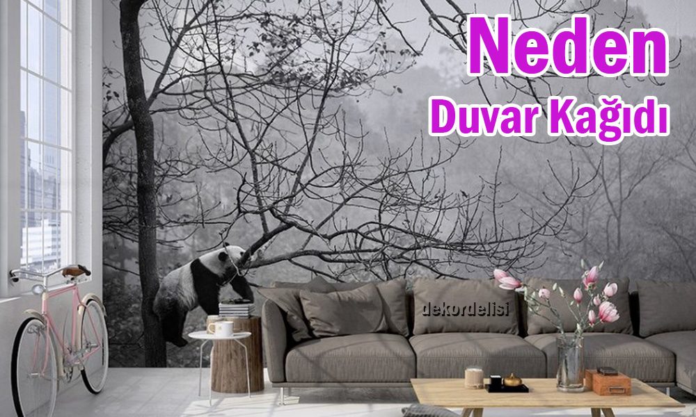 neden-duvar-kağıdı1